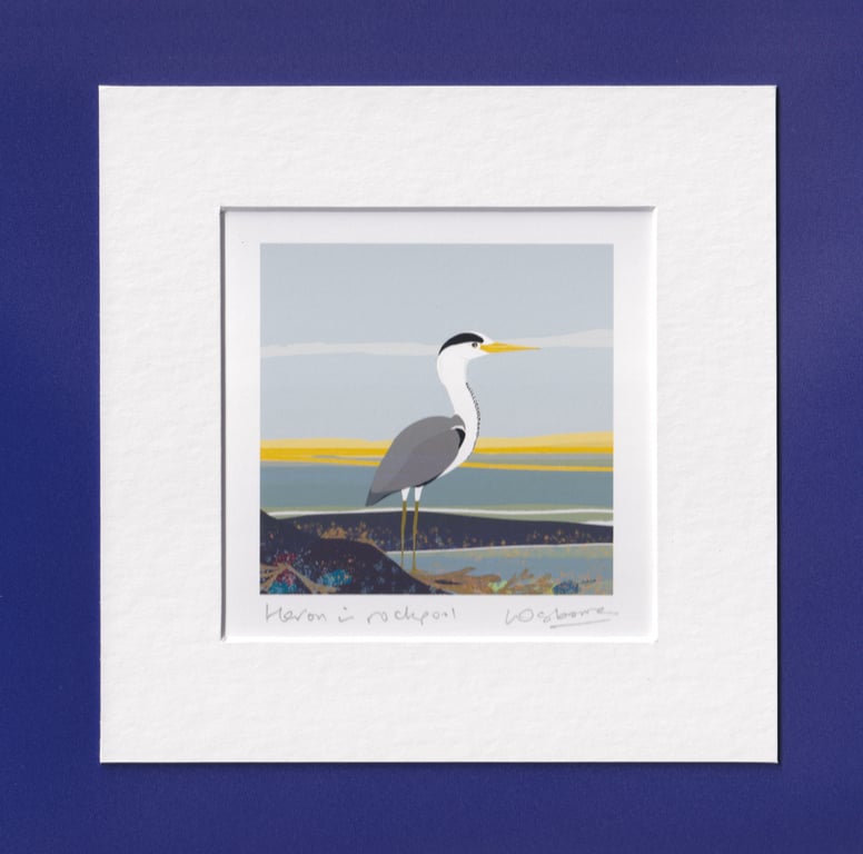 Heron in rockpool - mounted print of bird illustration