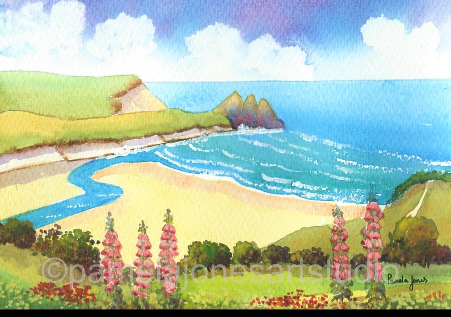 Three Cliffs Bay, Foxgloves, Gower, South Wales, in 20 x 16'' mount