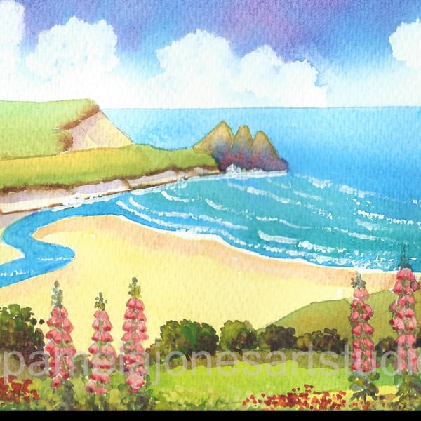 Three Cliffs Bay, Foxgloves, Gower, South Wales, in 20 x 16'' mount