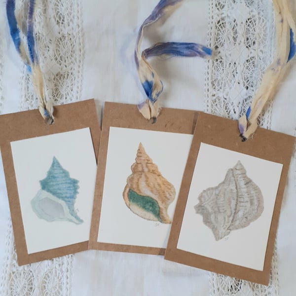 Gift tags. Sea shells. Water colour