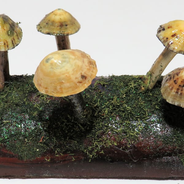Pretty mushroom log made from re-cycled wood with driftwood and limpet shells