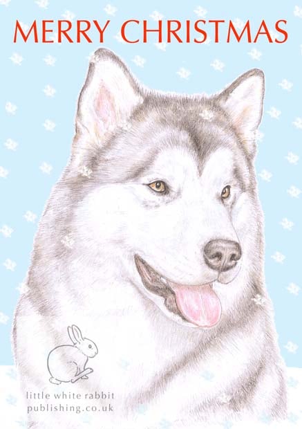 Hugo the Alaskan Malamute - Christmas Card