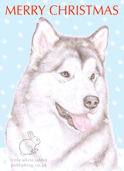 Hugo the Alaskan Malamute - Christmas Card