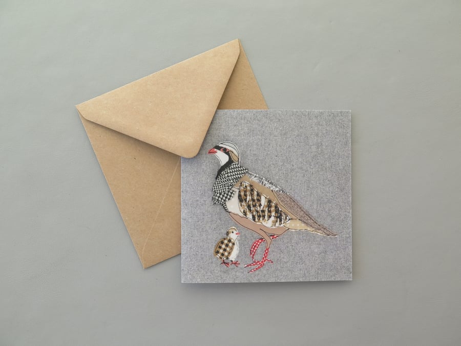 Red-legged Partridge card