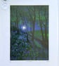 'Moonlit bluebells' original screenprint - Image 2