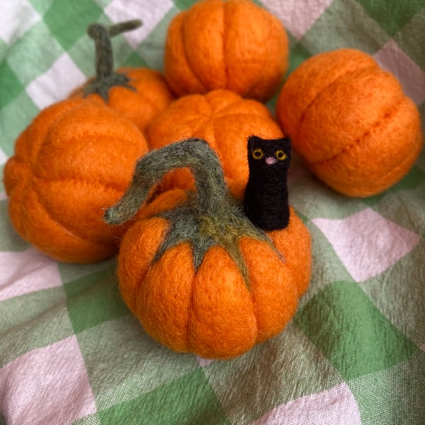 Felted Pumpkin - gift perfect for Autumn and Halloween, optional black cat. 