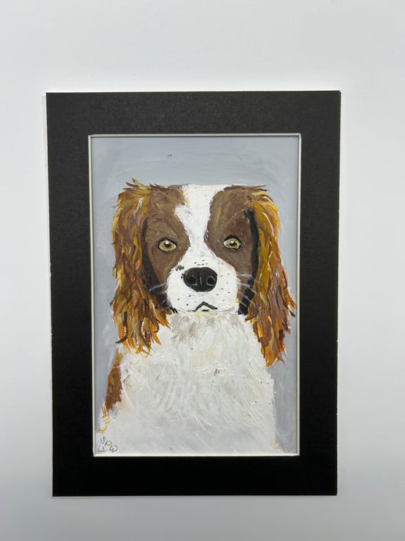 Original painting. Portrait of a spaniel. 5x7" pet portrait 