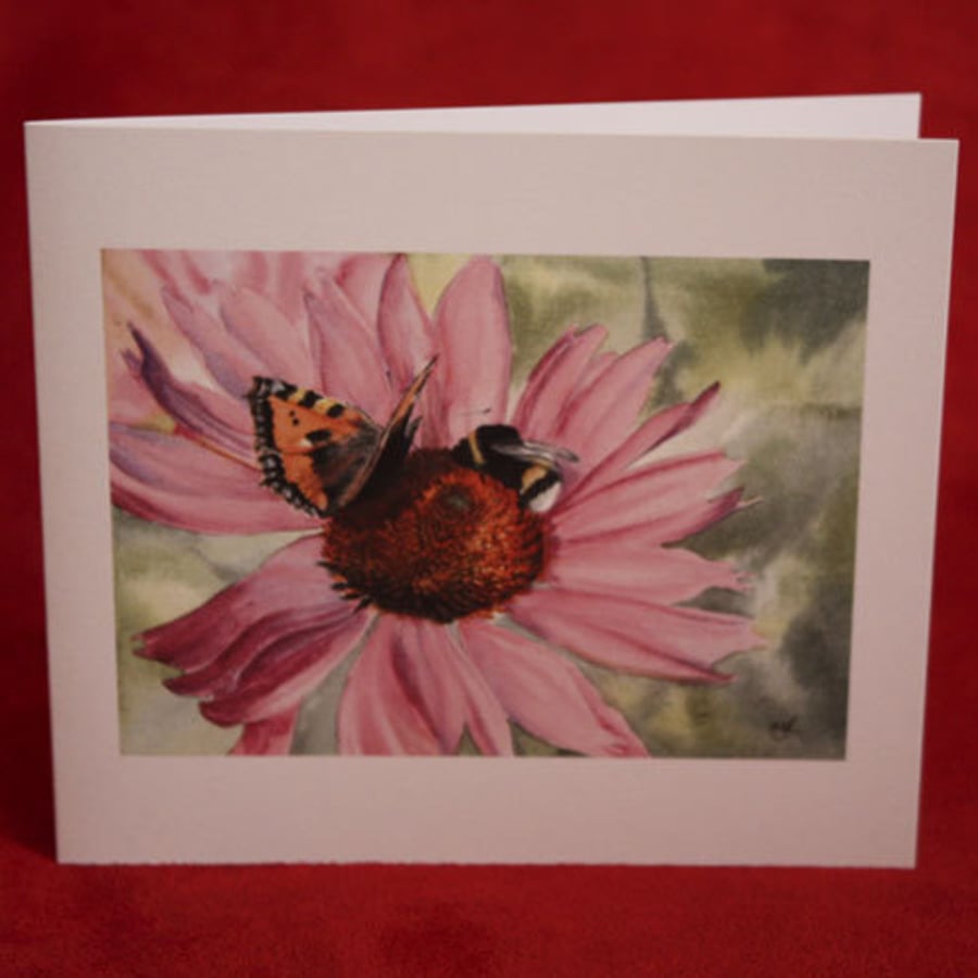 Echinacea with butterfly and bee - greetings card
