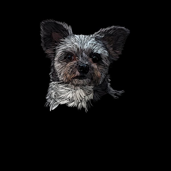 Pet portraits