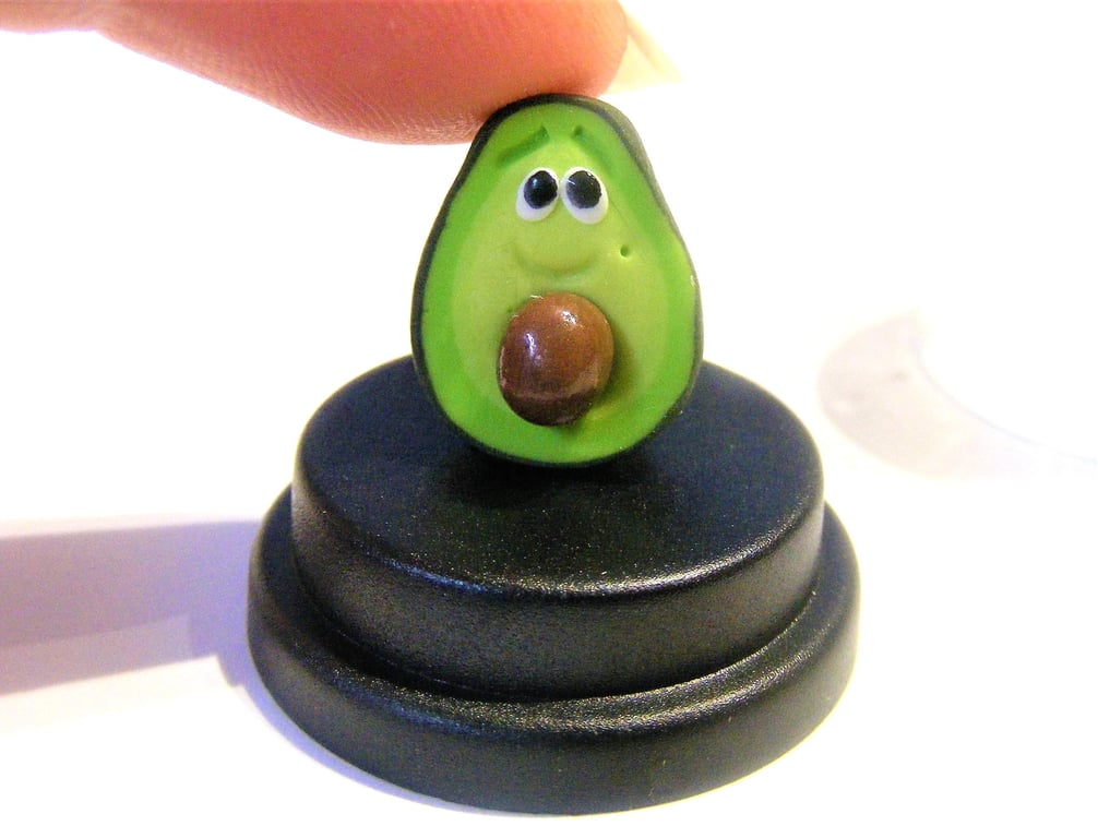 Pet Avocado, Miniature avocado, Vegetarian gift, Vegan gift