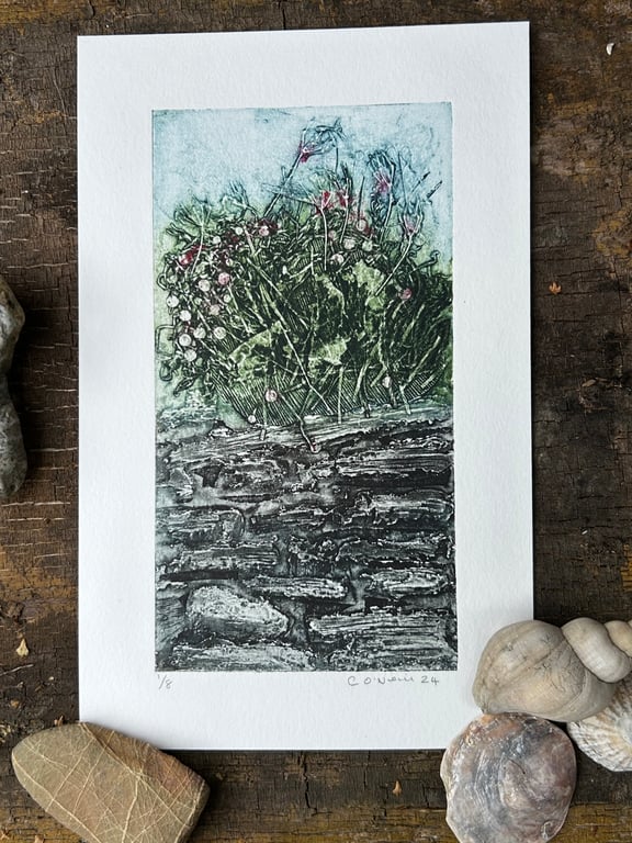 Cornish Slate Wall with Thrift - Original Collagraph Print