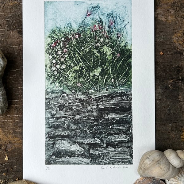 Cornish Slate Wall with Thrift - Original Collagraph Print