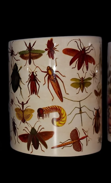 Insects Entomology Bugs Mug 11oz for Nature Nerds Bug Lover Gift