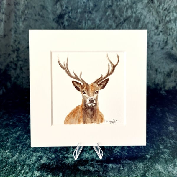 Stag - Original Watercolour Painting