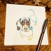 Dachshund Greeting card 