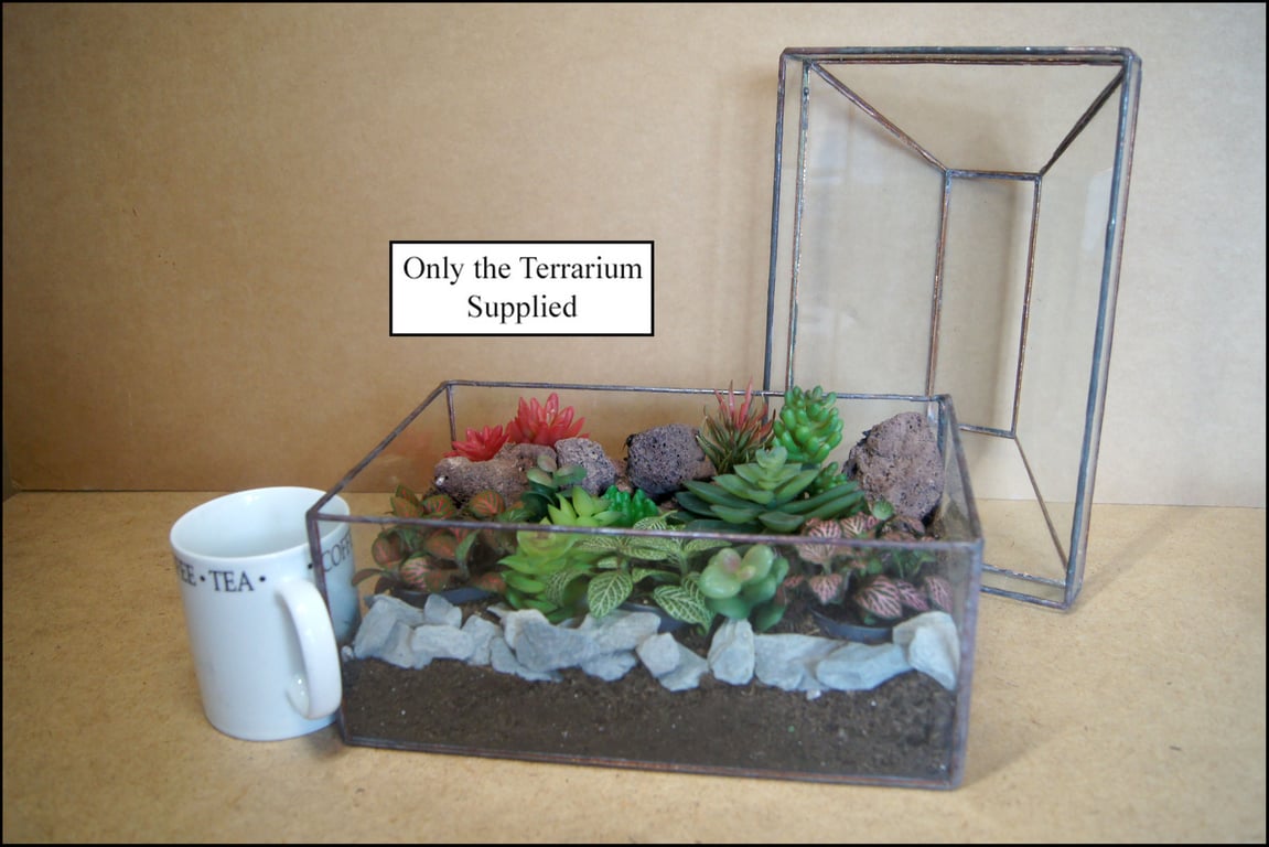 terrarium for succulents with removable top