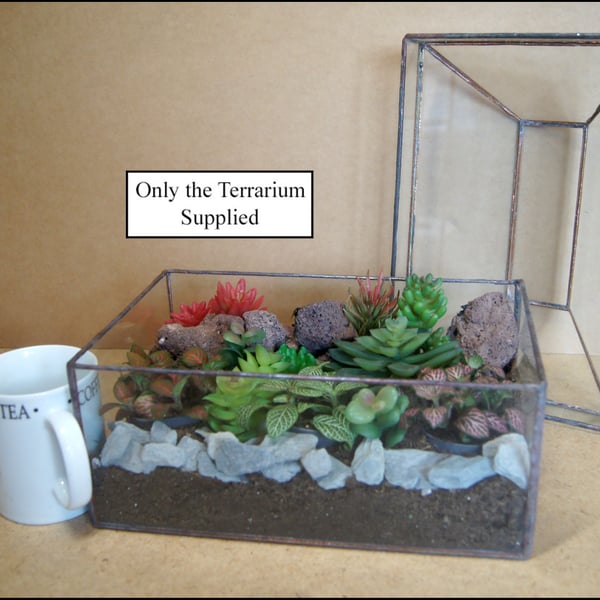 terrarium for succulents with removable top