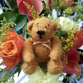 Ballyhoo Bears and Belles