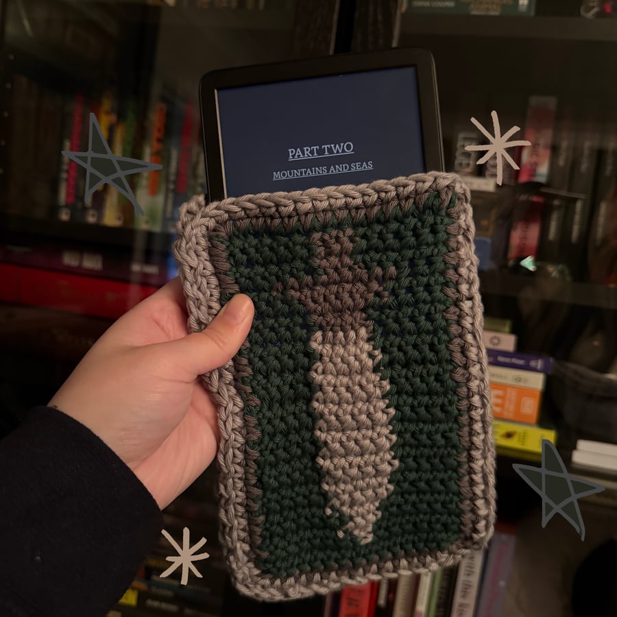 Tapestry crochet e-reader sleeve 