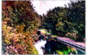 Nottinghamshire Pictures