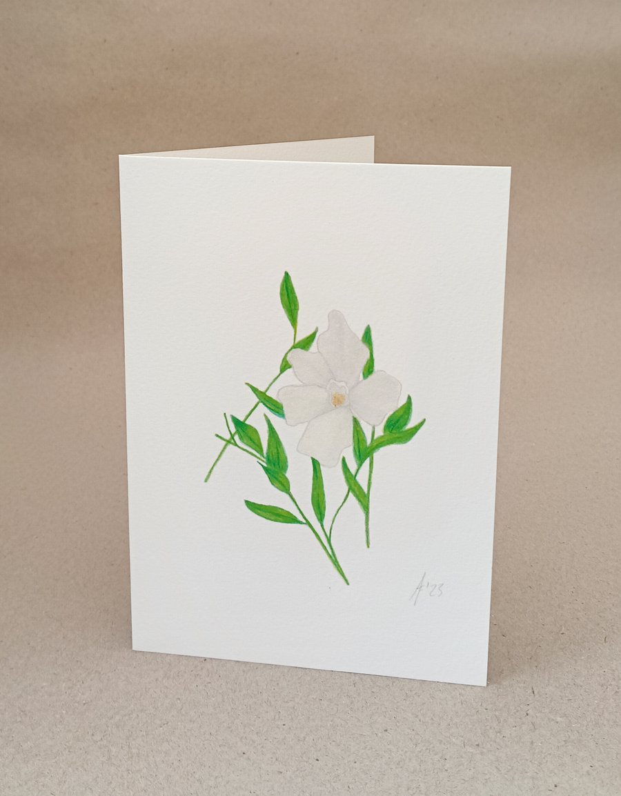 White Periwinkle handmade card & original pencil artwork