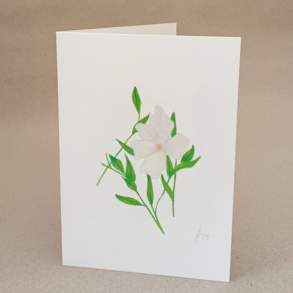 White Periwinkle handmade card & original pencil artwork