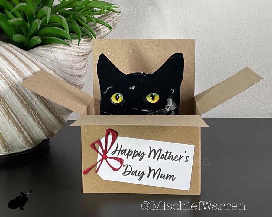 Black Cat In a Box Card - 3D personalised card. Gift card holder.