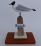 Mini black headed gull - Image 4