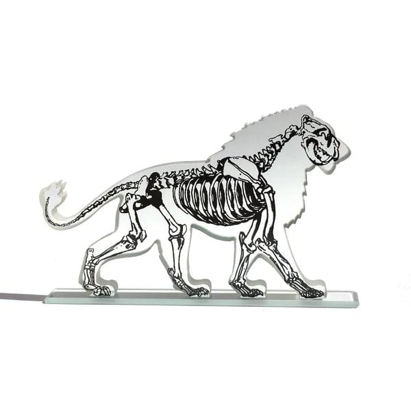 X-ray Lion Glass Sculpture with Skeleton Artwork