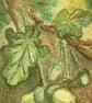 Second Sunday - Acorns ACEO - Image 3