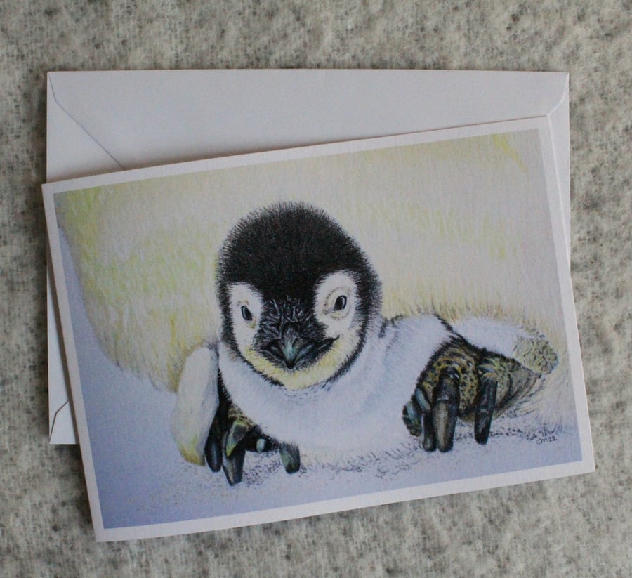 Penguin chick card. Perfect as a blank greetings card.