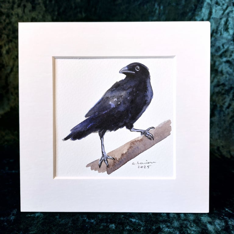 Raven - Original Watercolour Painting
