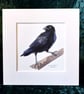 Raven - Original Watercolour Painting - Image 1