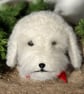 Needle felted dog bauble - White cavapoo, cockapoo, doodle - Image 2
