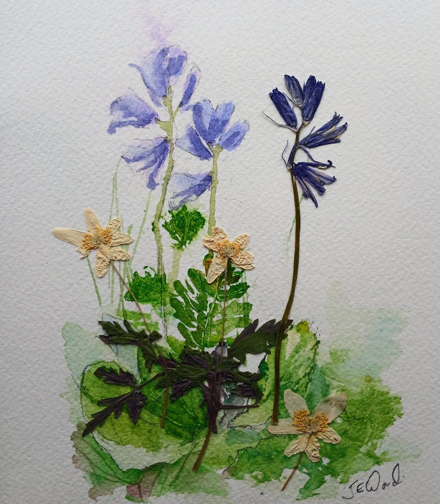 Bluebells Watercolour and Pressed flowers 