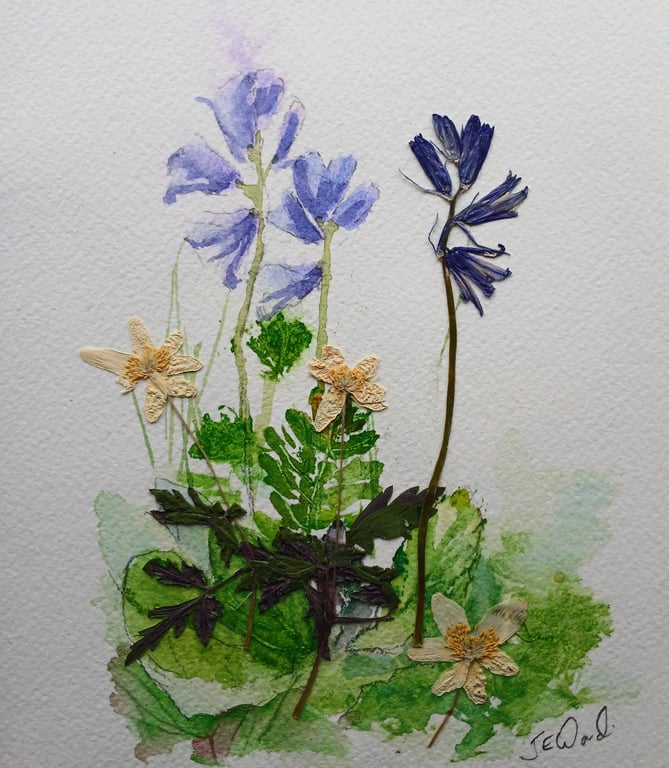Bluebells Watercolour and Pressed flowers 