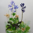 Bluebells Watercolour and Pressed flowers 