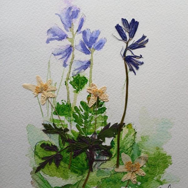Bluebells Watercolour and Pressed flowers 