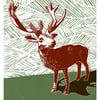 The Stag A3 poster-print