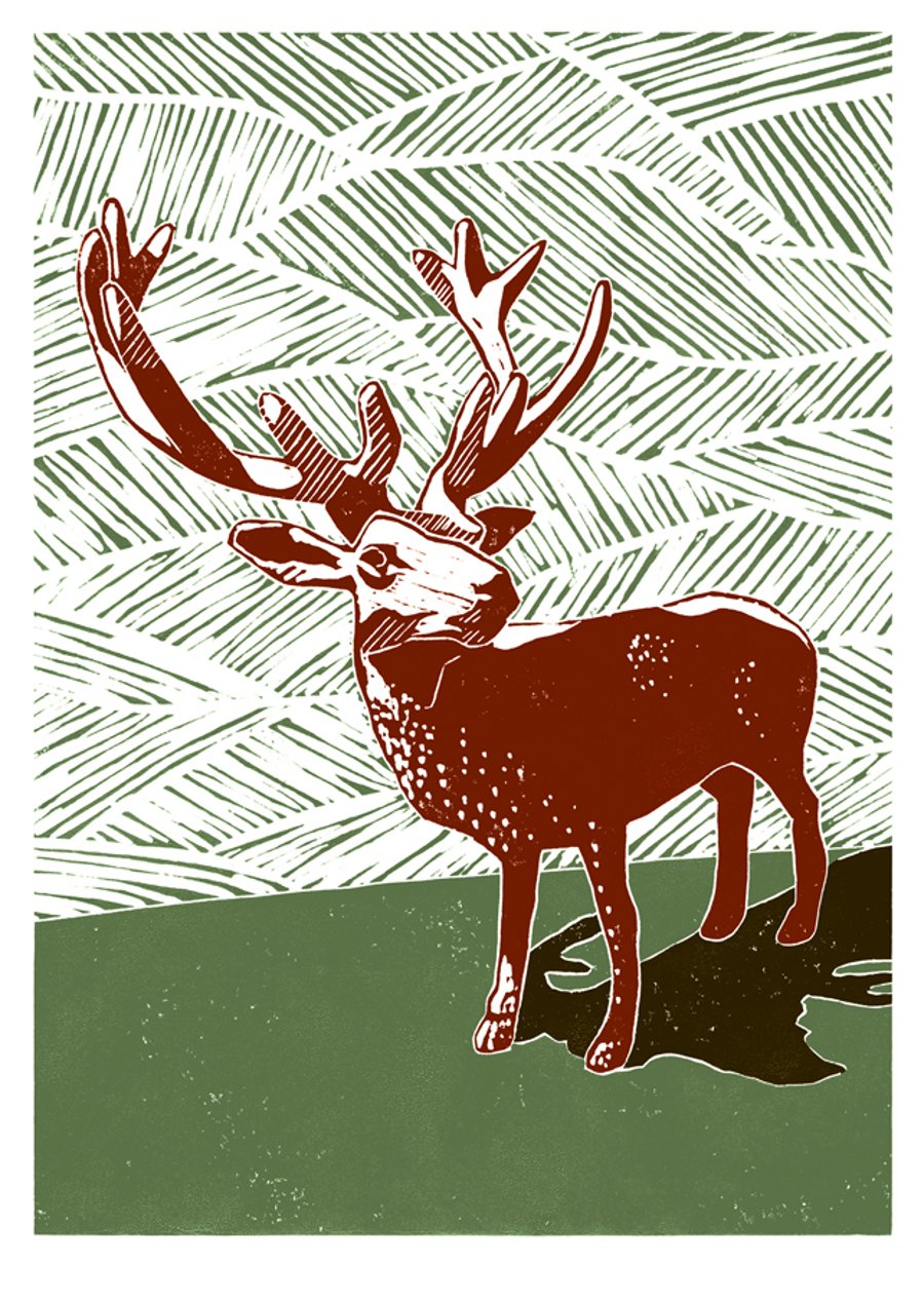 The Stag A3 poster-print