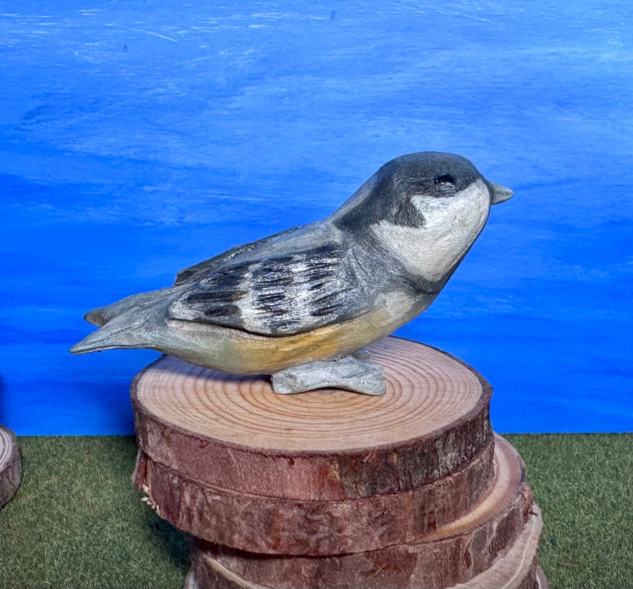 The Beautiful Coal Tit