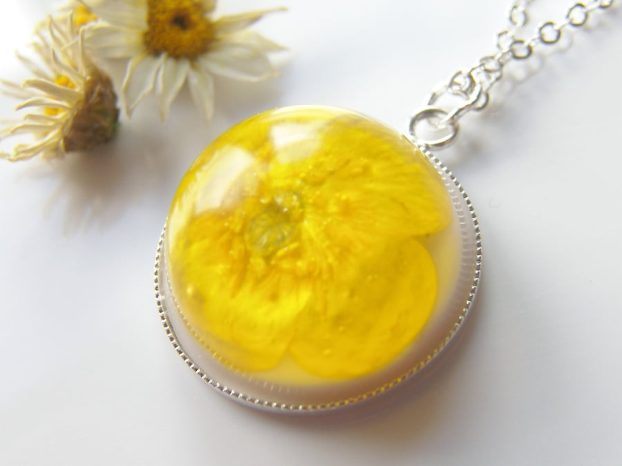 Real Buttercup Dainty Necklace - Nature Specimen - Real Flower Jewellery