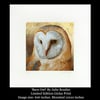 'Barn Owl' Limited Edition print By Julie Routley