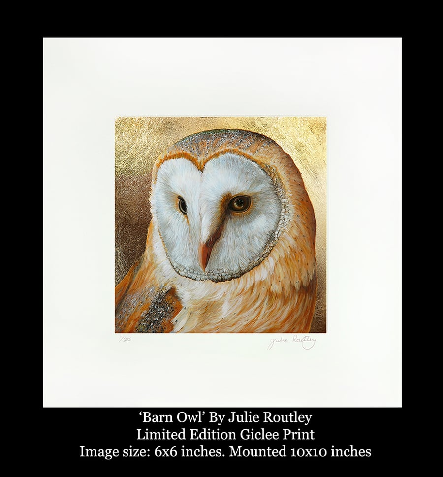 'Barn Owl' Limited Edition print By Julie Routley