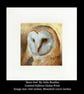 'Barn Owl' Limited Edition print By Julie Routley