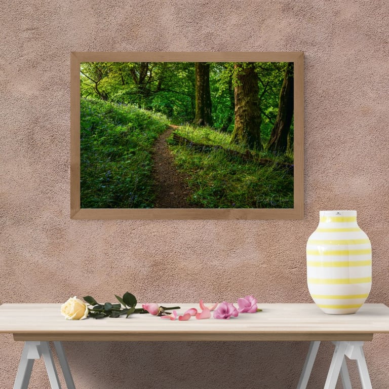 A Hidden Path through Kingswood in Cornwall.