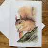 Free UK post  - A5 blank card of Sennen Squirrel - 