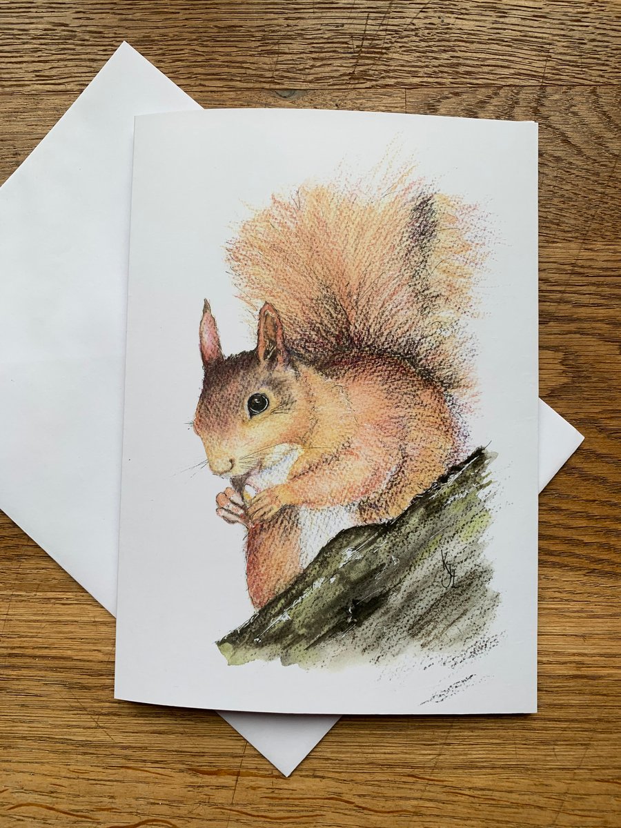  A5 blank card of Sennen Squirrel - 