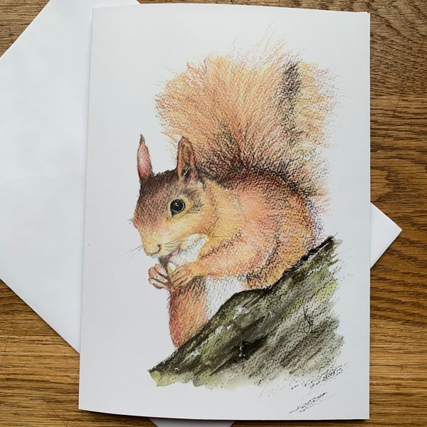  A5 blank card of Sennen Squirrel - 