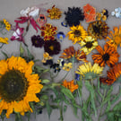Dried Edible Flowers for Cake Decorating and Cocktail Garnish